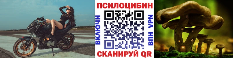 ОМГ ОМГ ссылка  Иланский  Псилоцибиновые грибы ЛСД 